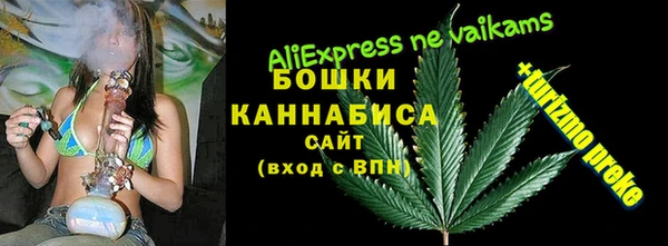 экстази Белокуриха