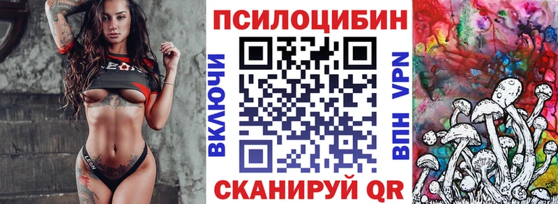 где продают   сайты даркнета наркотические препараты  Галлюциногенные грибы мухоморы  Салаир 