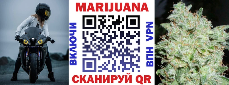 Каннабис индика  Салаир 